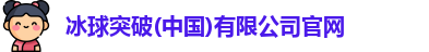 冰球突破